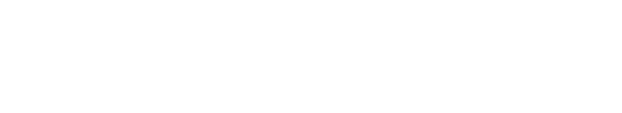 BharatNetra - One Vision, One Finance, One Future